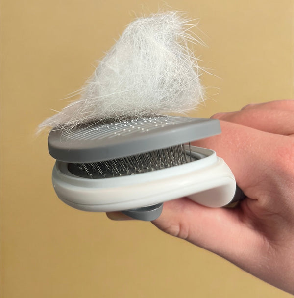 Haartiger Wunderkamm für Haustiere